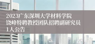 2023广东深圳大学材料学院饶峰特聘教授团队招聘副研究员1人公告