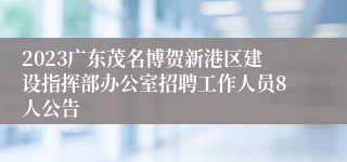 2023广东茂名博贺新港区建设指挥部办公室招聘工作人员8人公告