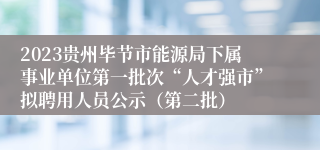 2023贵州毕节市能源局下属事业单位第一批次“人才强市”拟聘用人员公示（第二批）