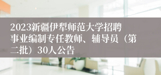 2023新疆伊犁师范大学招聘事业编制专任教师、辅导员（第二批）30人公告