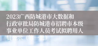 2023广西防城港市大数据和行政审批局防城港市招聘市本级事业单位工作人员考试拟聘用人员公示（第一批）