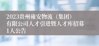 2023贵州雍安物流（集团）有限公司人才引进暨人才库招募1人公告