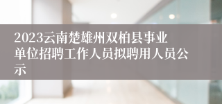 2023云南楚雄州双柏县事业单位招聘工作人员拟聘用人员公示