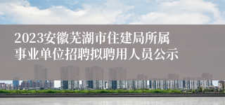 2023安徽芜湖市住建局所属事业单位招聘拟聘用人员公示