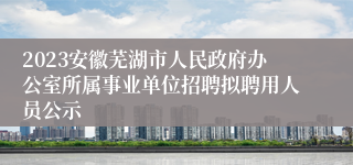 2023安徽芜湖市人民政府办公室所属事业单位招聘拟聘用人员公示