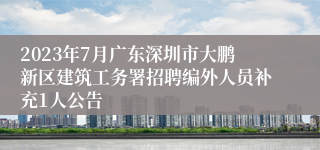2023年7月广东深圳市大鹏新区建筑工务署招聘编外人员补充1人公告