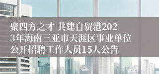 聚四方之才 共建自贸港2023年海南三亚市天涯区事业单位公开招聘工作人员15人公告