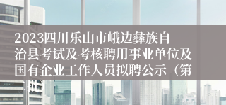 2023四川乐山市峨边彝族自治县考试及考核聘用事业单位及国有企业工作人员拟聘公示（第二批）