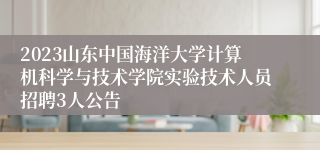 2023山东中国海洋大学计算机科学与技术学院实验技术人员招聘3人公告