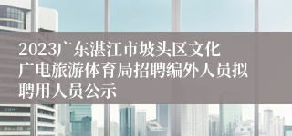 2023广东湛江市坡头区文化广电旅游体育局招聘编外人员拟聘用人员公示