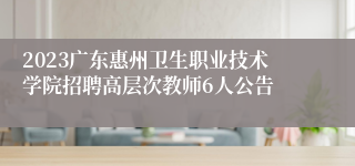 2023广东惠州卫生职业技术学院招聘高层次教师6人公告