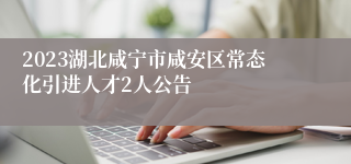 2023湖北咸宁市咸安区常态化引进人才2人公告