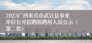2023广西来宾市武宣县事业单位公开招聘拟聘用人员公示（第二批）