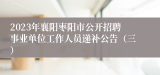 2023年襄阳枣阳市公开招聘事业单位工作人员递补公告（三）