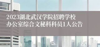 2023湖北武汉学院招聘学校办公室综合文秘科科员1人公告