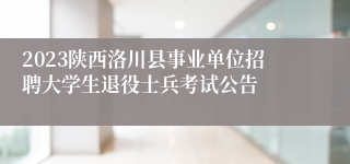 2023陕西洛川县事业单位招聘大学生退役士兵考试公告