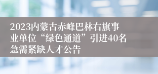 2023内蒙古赤峰巴林右旗事业单位“绿色通道”引进40名急需紧缺人才公告