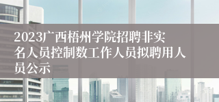 2023广西梧州学院招聘非实名人员控制数工作人员拟聘用人员公示