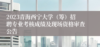 2023青海西宁大学（筹）招聘专业考核成绩及现场资格审查公告