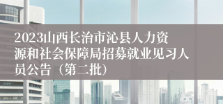 2023山西长治市沁县人力资源和社会保障局招募就业见习人员公告（第二批）