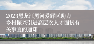 2023黑龙江黑河爱辉区助力乡村振兴引进高层次人才面试有关事宜的通知