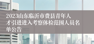 2023山东临沂市费县青年人才引进进入考察体检范围人员名单公告