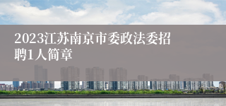 2023江苏南京市委政法委招聘1人简章