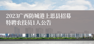 2023广西防城港上思县招募特聘农技员1人公告