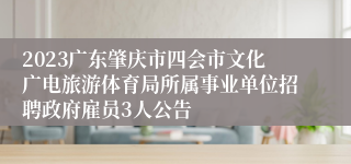 2023广东肇庆市四会市文化广电旅游体育局所属事业单位招聘政府雇员3人公告