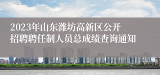 2023年山东潍坊高新区公开招聘聘任制人员总成绩查询通知