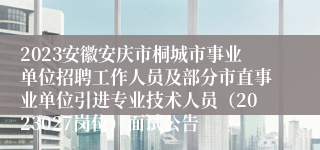 2023安徽安庆市桐城市事业单位招聘工作人员及部分市直事业单位引进专业技术人员（2023027岗位）面试公告