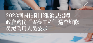2023河南信阳市淮滨县招聘政府购岗“雪亮工程”巡查维修员拟聘用人员公示