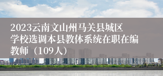 2023云南文山州马关县城区学校选调本县教体系统在职在编教师（109人）