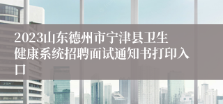 2023山东德州市宁津县卫生健康系统招聘面试通知书打印入口