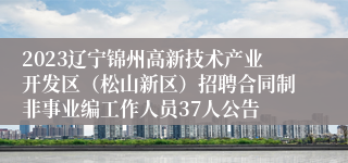 2023辽宁锦州高新技术产业开发区（松山新区）招聘合同制非事业编工作人员37人公告