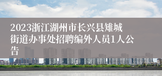 2023浙江湖州市长兴县雉城街道办事处招聘编外人员1人公告