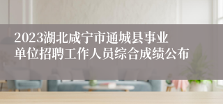 2023湖北咸宁市通城县事业单位招聘工作人员综合成绩公布