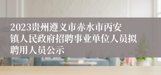 2023贵州遵义市赤水市丙安镇人民政府招聘事业单位人员拟聘用人员公示