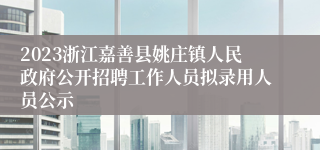 2023浙江嘉善县姚庄镇人民政府公开招聘工作人员拟录用人员公示