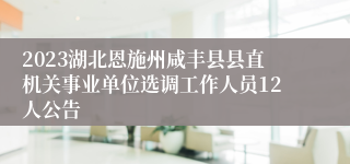 2023湖北恩施州咸丰县县直机关事业单位选调工作人员12人公告