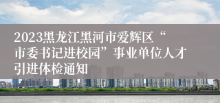 2023黑龙江黑河市爱辉区“市委书记进校园”事业单位人才引进体检通知