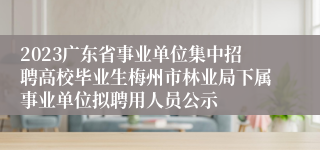 2023广东省事业单位集中招聘高校毕业生梅州市林业局下属事业单位拟聘用人员公示