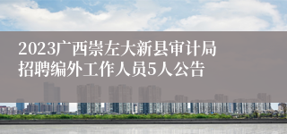 2023广西崇左大新县审计局招聘编外工作人员5人公告