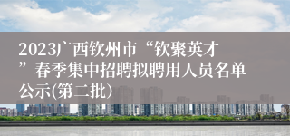 2023广西钦州市“钦聚英才”春季集中招聘拟聘用人员名单公示(第二批）