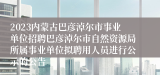 2023内蒙古巴彦淖尔市事业单位招聘巴彦淖尔市自然资源局所属事业单位拟聘用人员进行公示的公告