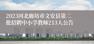 2023河北廊坊市文安县第二批招聘中小学教师213人公告