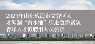 2023年山东威海市文登区人才编制“蓄水池”引进急需紧缺青年人才拟聘用人员公示