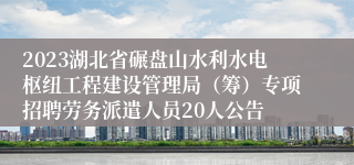 2023湖北省碾盘山水利水电枢纽工程建设管理局（筹）专项招聘劳务派遣人员20人公告