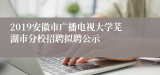 2019安徽市广播电视大学芜湖市分校招聘拟聘公示