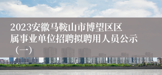 2023安徽马鞍山市博望区区属事业单位招聘拟聘用人员公示（一）